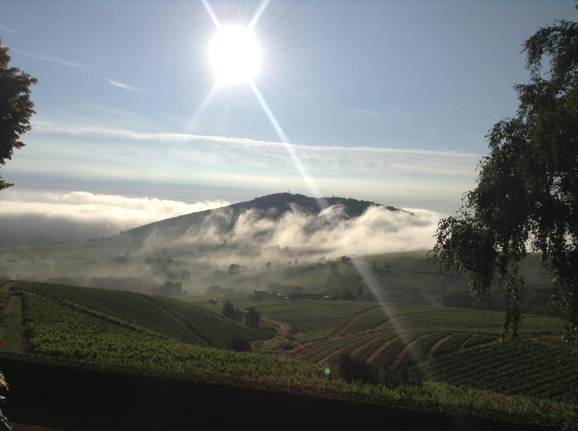 La Croix De Saburin Bed and Breakfast Quincié-en-Beaujolais Εξωτερικό φωτογραφία