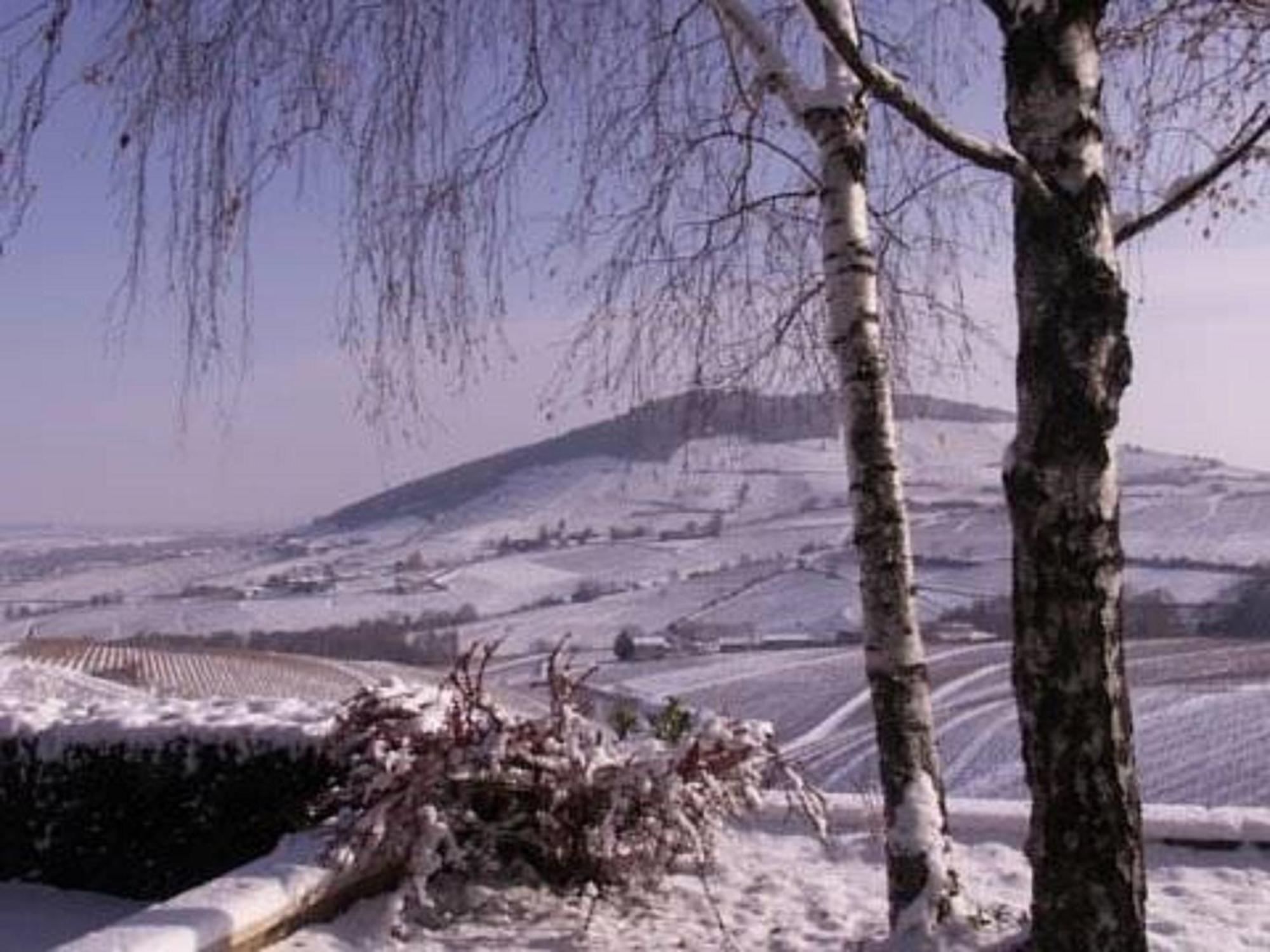 La Croix De Saburin Bed and Breakfast Quincié-en-Beaujolais Εξωτερικό φωτογραφία