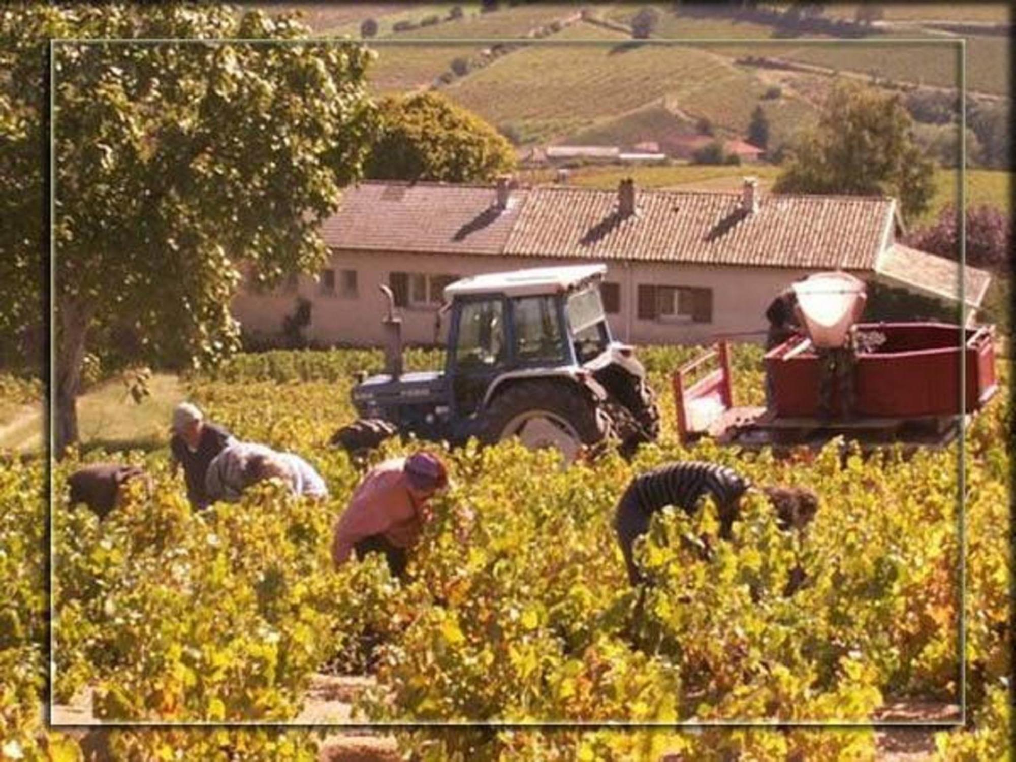 La Croix De Saburin Bed and Breakfast Quincié-en-Beaujolais Εξωτερικό φωτογραφία